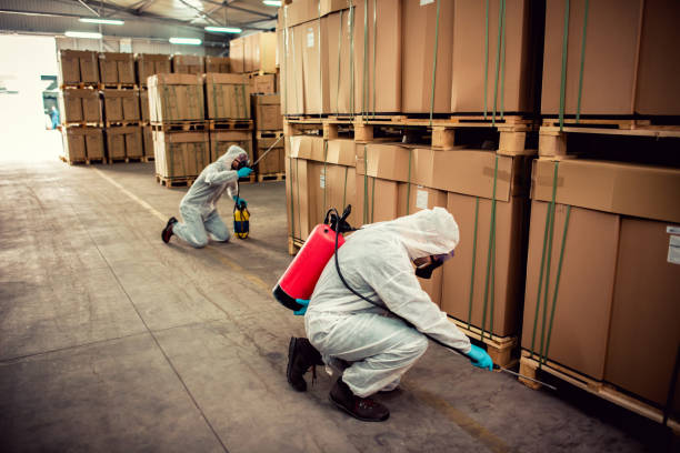 Best Pest Prevention Services  in Pahrump, NV