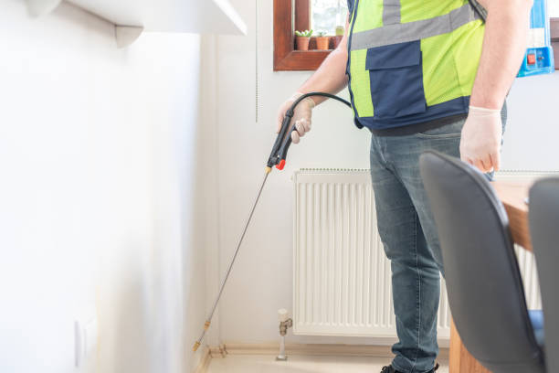 Best Residential Pest Control  in Pahrump, NV