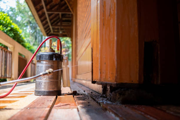 Best Pest Removal Services  in Pahrump, NV