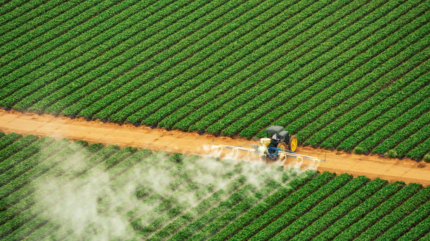 Best Commercial Pest Control Services  in Pahrump, NV